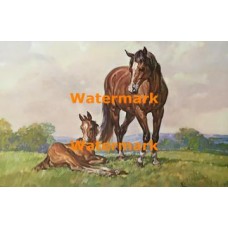 Afternoon Rest  - XD5045  -  PRINT